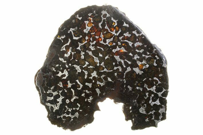 Polished Sericho Pallasite Meteorite ( g) Slice - Kenya #310393